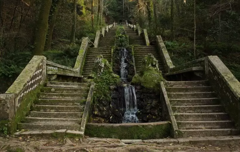 Mata Nacional do Bussaco